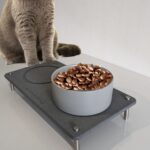 Tapis pour animaux en diatomite Faje