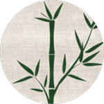 Plante de Bambou