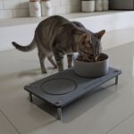 Tapis pour animaux en diatomite Faje