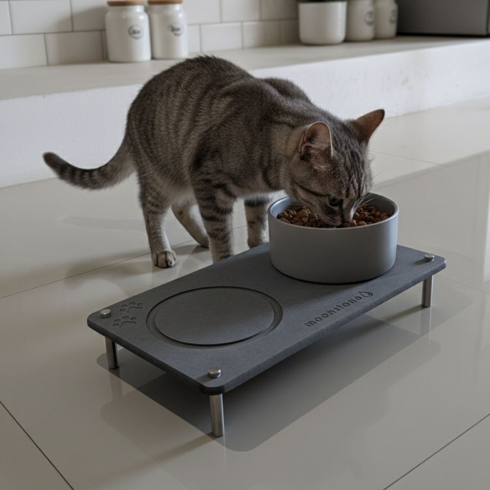 Tapis pour animaux en diatomite Faje