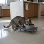 Tapis pour animaux en diatomite Faje