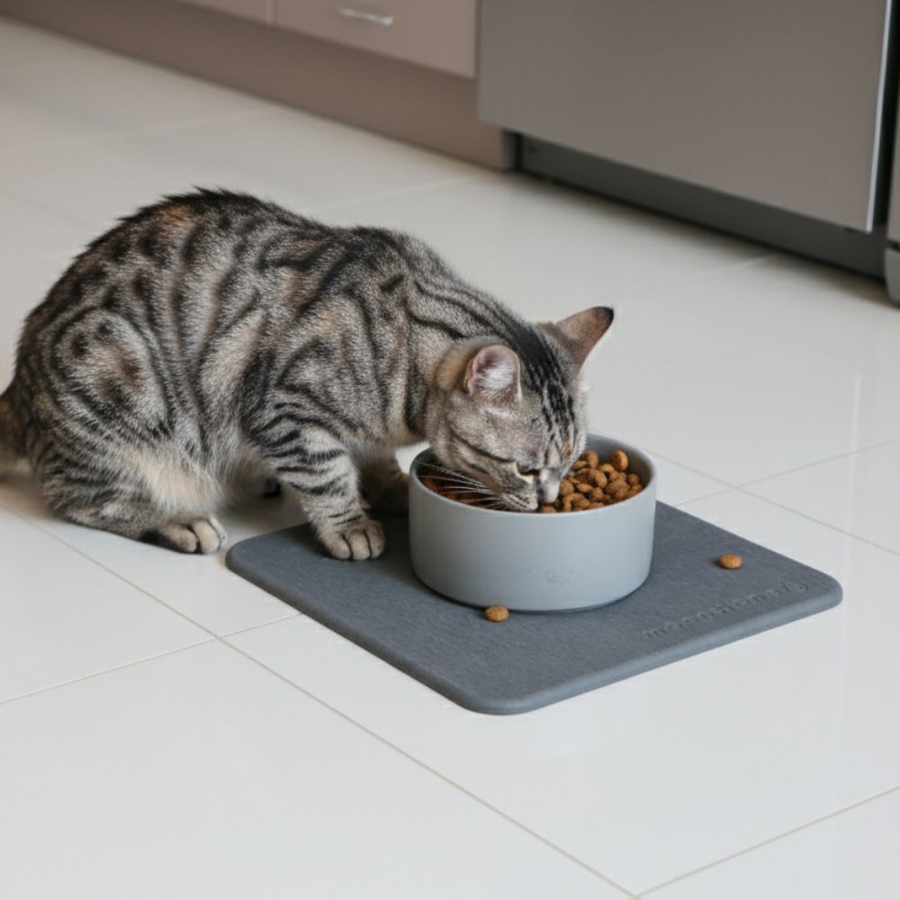 Tapis pour animaux en diatomite Sval