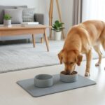 Tapis pour animaux en diatomite Swan